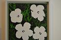 aDSC_0418_Flowers door Andy Warhol